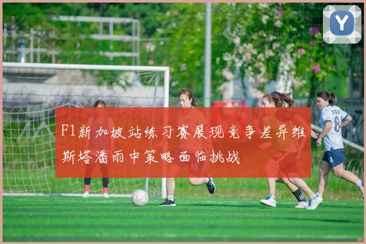 F1新加坡站练习赛展现竞争差异维斯塔潘雨中策略面临挑战