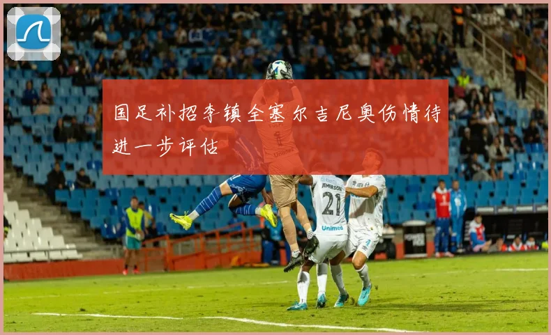 国足补招李镇全塞尔吉尼奥伤情待进一步评估